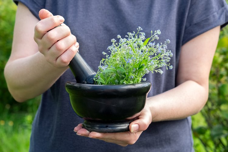 bowl of natural herbs