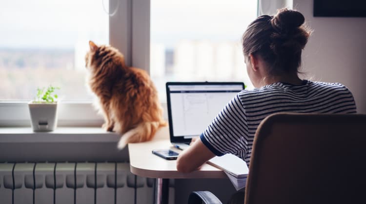 young woman working from home with cat staring at window