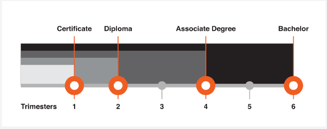 SAE-Upskilled-Course-Structure.png