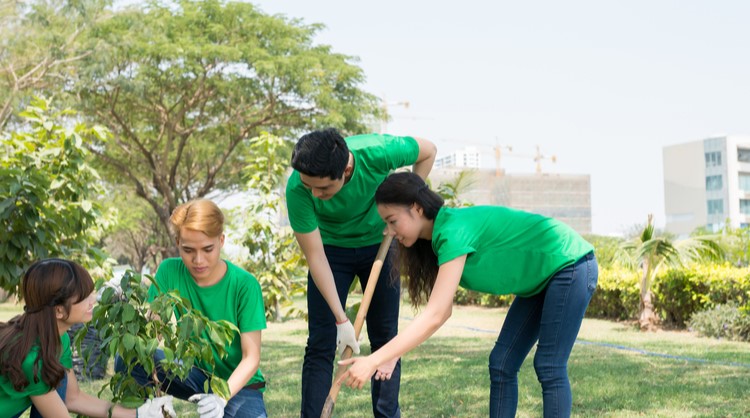 group of asian students planting a tree