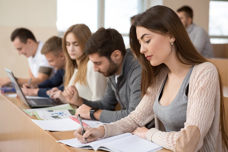 students studying side by side