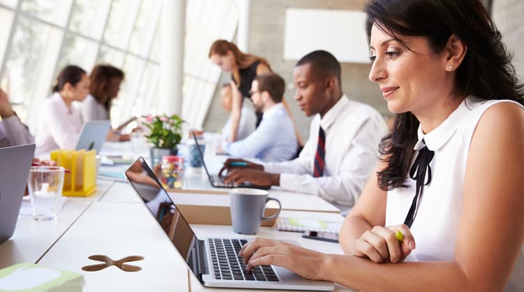 employees working in the office