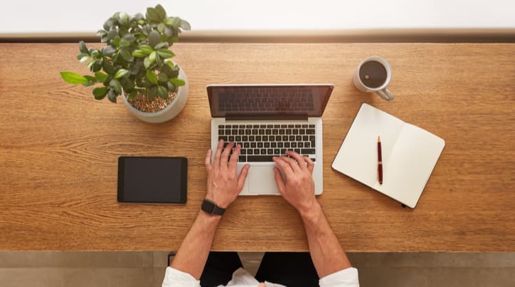 laptop with plants