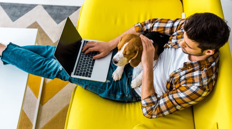 man working from home with pet dog